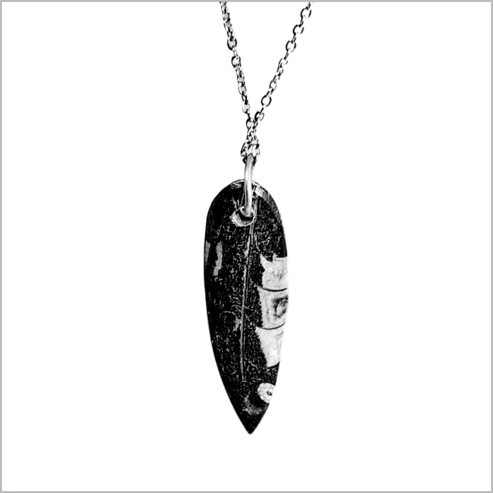 Genuine Orthoceras Fossil Pendant with Stainless Steel Necklace. NWOT